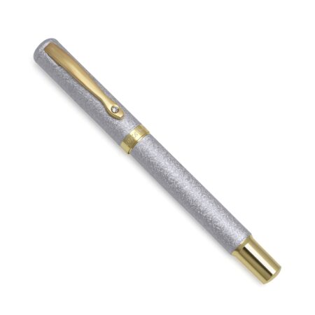 Golden and Silver Textured Pen